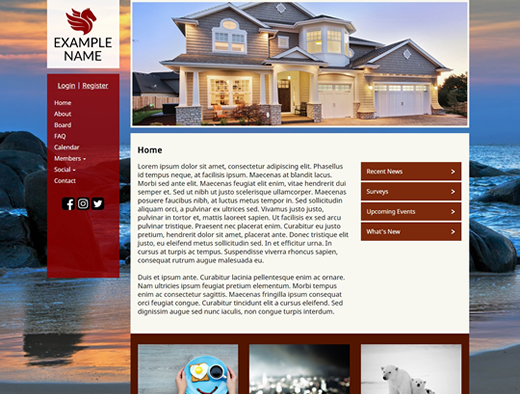 website design