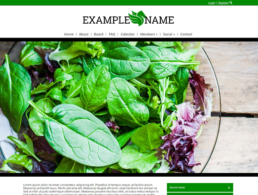 website design